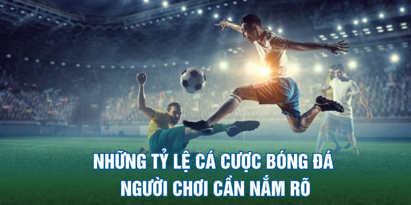 Những tỷ lệ cá cược bóng đá người chơi cần nắm rõ